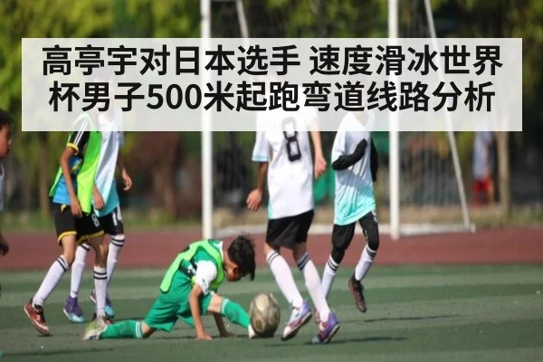 高亭宇对日本选手 速度滑冰世界杯男子500米起跑弯道线路分析